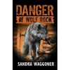 Danger at Wolf Rock - CD Audiobook