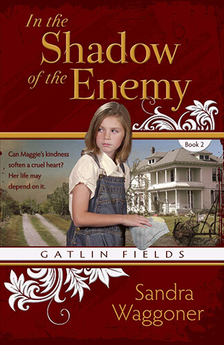 In the Shadow of the Enemy cover
